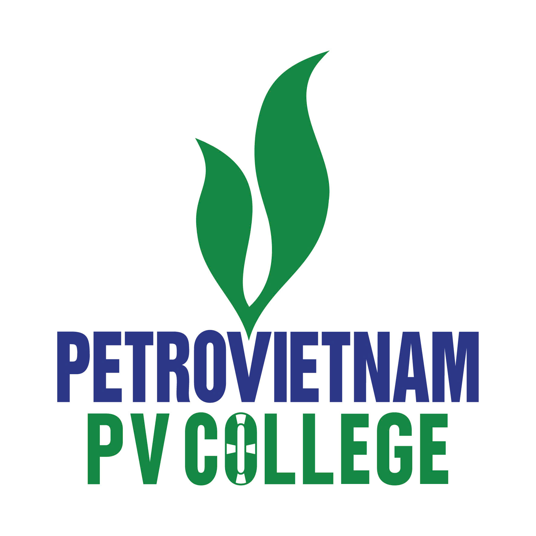 Trường Cao đẳng Dầu khí (Petrovietnam PV College)